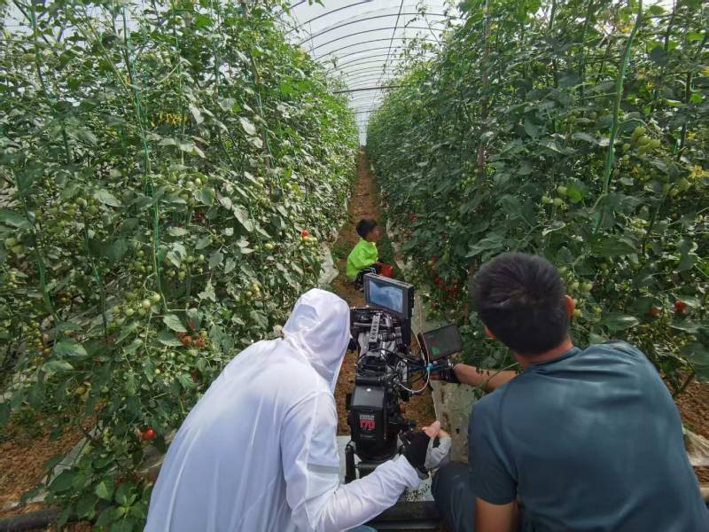 东城区产品宣传视频拍摄公司进阶指南，助力品牌抢占传播高地